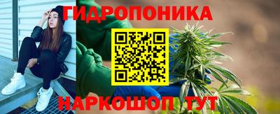 шишки Вязники