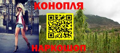 Альфа ПВП Владивосток