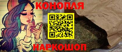 Альфа ПВП Владивосток