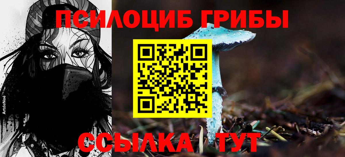 Галлюциногенные грибы Magic Shrooms  Вход с VPN  Сорочинск 